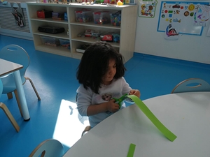 Project