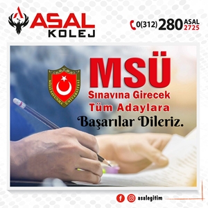 msu-sinav-basarilar_blog_g2133_k_17BIXG5P.jpg